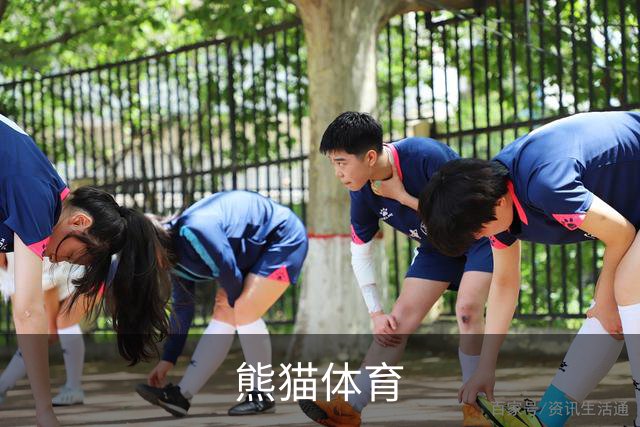 熊猫体育公司介绍图